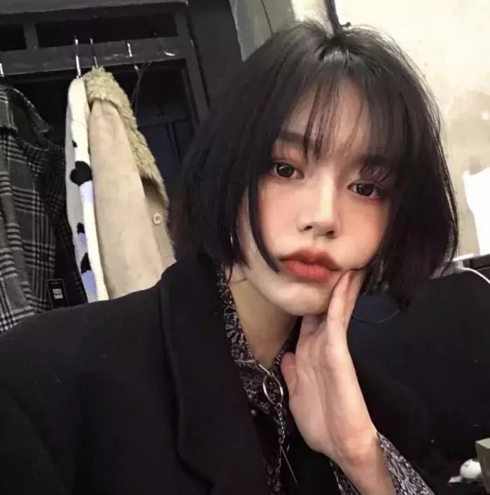 斑马头
